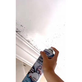 Vodaseal Anti Küf Yalıtım Boyası Sprey 500 ml